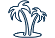 Palm trees icon