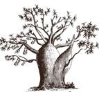 African Agriculture logo