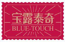Blue-Touch Holdings Group logo