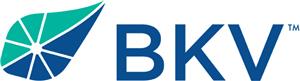 BKV logo