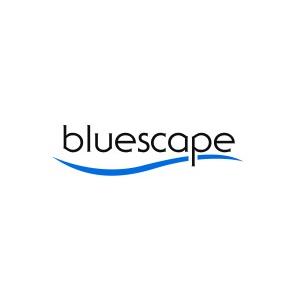 Energy-focused SPAC Bluescape Opportunities Acquisition files for a ...