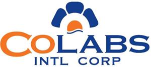 CoLabs Int’l logo