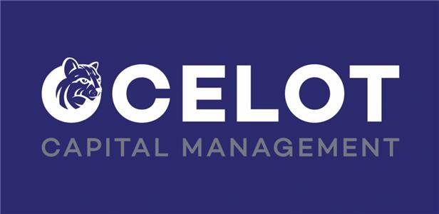 Ocelot Acquisition I logo
