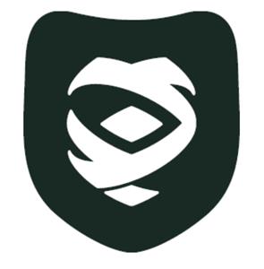 PAII logo