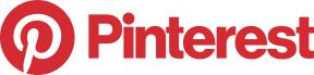PINS logo