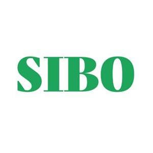 SIBO IPO News - Hong Kong boutique investment bank Sibo Holding files