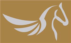 Silver Pegasus Acquisition logo